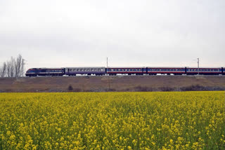 The Somnath Express was halted at Kasu Begu railway station in Ferozpur district in Punjab, after an anonymous bomb threat call. Passengers were evacuated and a thorough search is underway by the Punjab police's bomb disposal squad, Dog squads, Government Railway Police, and Railway Protection Force.