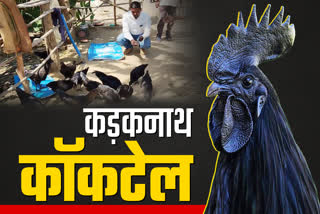 NARMADA NIDHI BREED CHICKENS