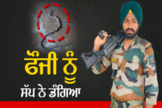 barnala solider simrandeep singh of died due to snake bite