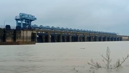 Dhamtari Gangrel Dam News