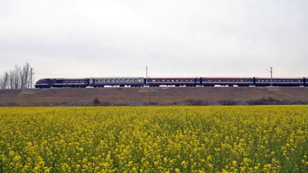 The Somnath Express was halted at Kasu Begu railway station in Ferozpur district in Punjab, after an anonymous bomb threat call. Passengers were evacuated and a thorough search is underway by the Punjab police's bomb disposal squad, Dog squads, Government Railway Police, and Railway Protection Force.