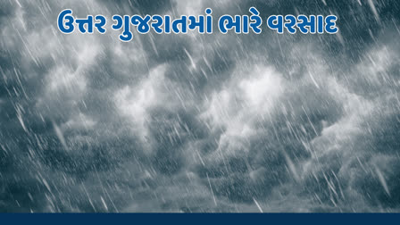 કુલ 213 તાલુકામાં ગત 24 કલાક દરમિયાન સાર્વત્રિક વરસાદ નોંધાયો છે