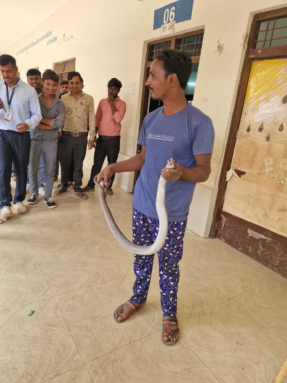 Panic due to snake appearing in school