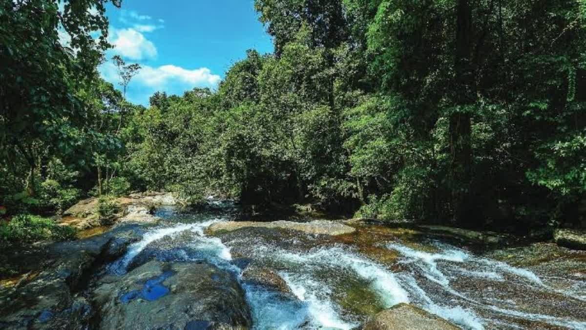 Puthuppady Kakkad Eco Tourism Centre  Women Died Puthuppady Kakkad Eco Tourism Centre  പുതുപ്പാടി കക്കാട് ഇക്കോ ടൂറിസം കേന്ദ്രം  കോഴിക്കോട് മലവെള്ള പാച്ചിലിൽ യുവതി മരിച്ചു  woman died at Puthuppady Kakkad Eco Tourism Centre  കക്കാട് മലവെള്ളപ്പാച്ചിൽ