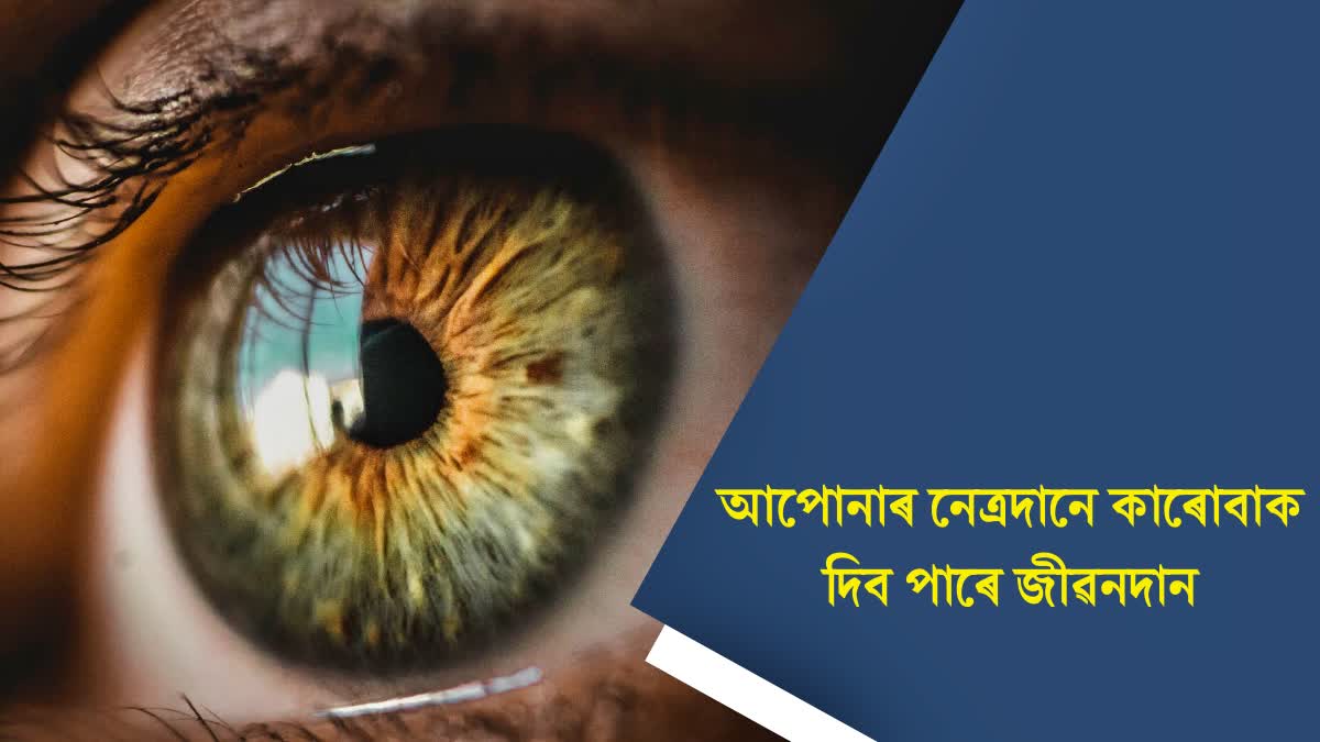 one-persons-eye-donation-can-give-sight-to-two-people