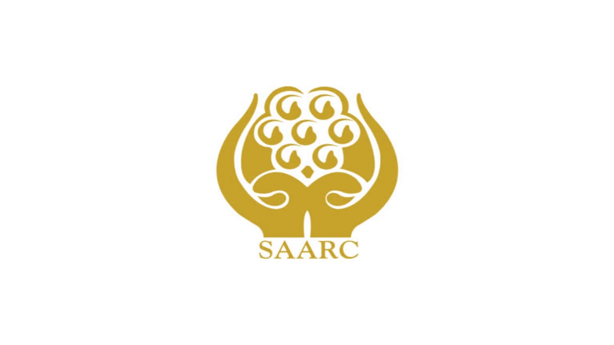 Making SAARC dynamic again: Is it possible?