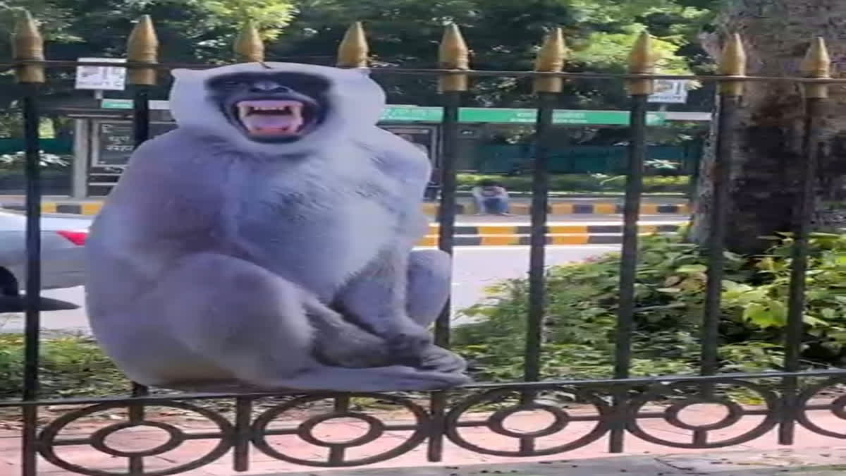 Monkey business: Delhi gets cutouts of langurs to ease menace