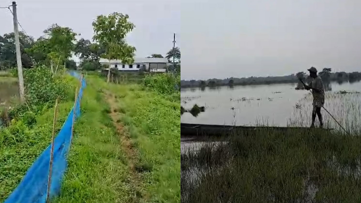 One Family In Village