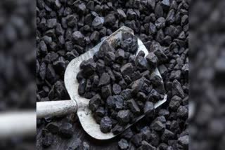 domestic-coking-coal