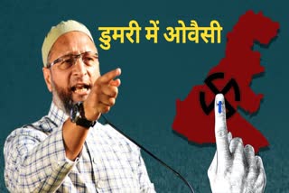 Asaduddin Owaisi will campaign for his candidat