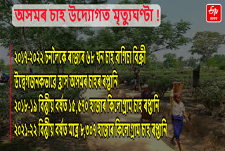 Crisis in Assam Tea Industry