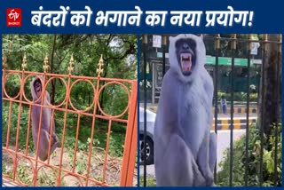 Cut outs of baboon installed in Delhi