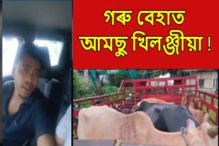 Cattle smuggling in Assam