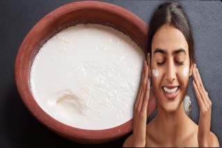 Curd face pack News