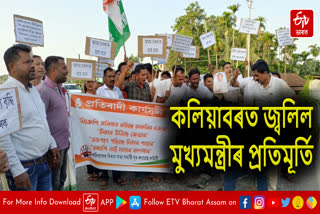 Protest by burning cm effigy in Kaliabor