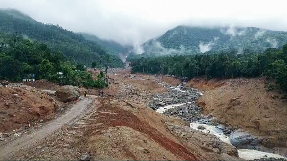 Hope And Healing Emerges As One Month Passes After The Wayanad Landslide