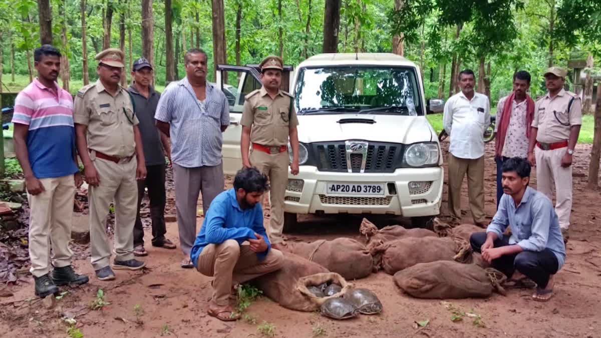 illegally_transporting_turtles_at_alluri_district