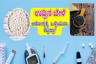 HEALTH BENEFITS OF URAD DAL  BLACK GRAM HEALTH BENEFITS  VIGNA MUNGO HEALTH BENEFITS  BLACK GRAM FOR DIABETES