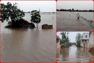 GUJARAT RAIN FLOOD UPDATE