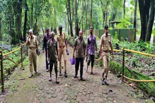 ARALAM WILDLIFE SANCTUARY  MONKEY DIED IN ARALAM  ആറളം വന്യജീവി സങ്കേതം  ആറളത്ത് കുരങ്ങുകൾ ചത്തു