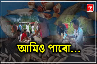 Nagaon Fish controversy