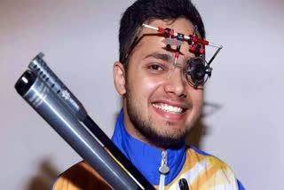 Manish Narwal Bags Silver