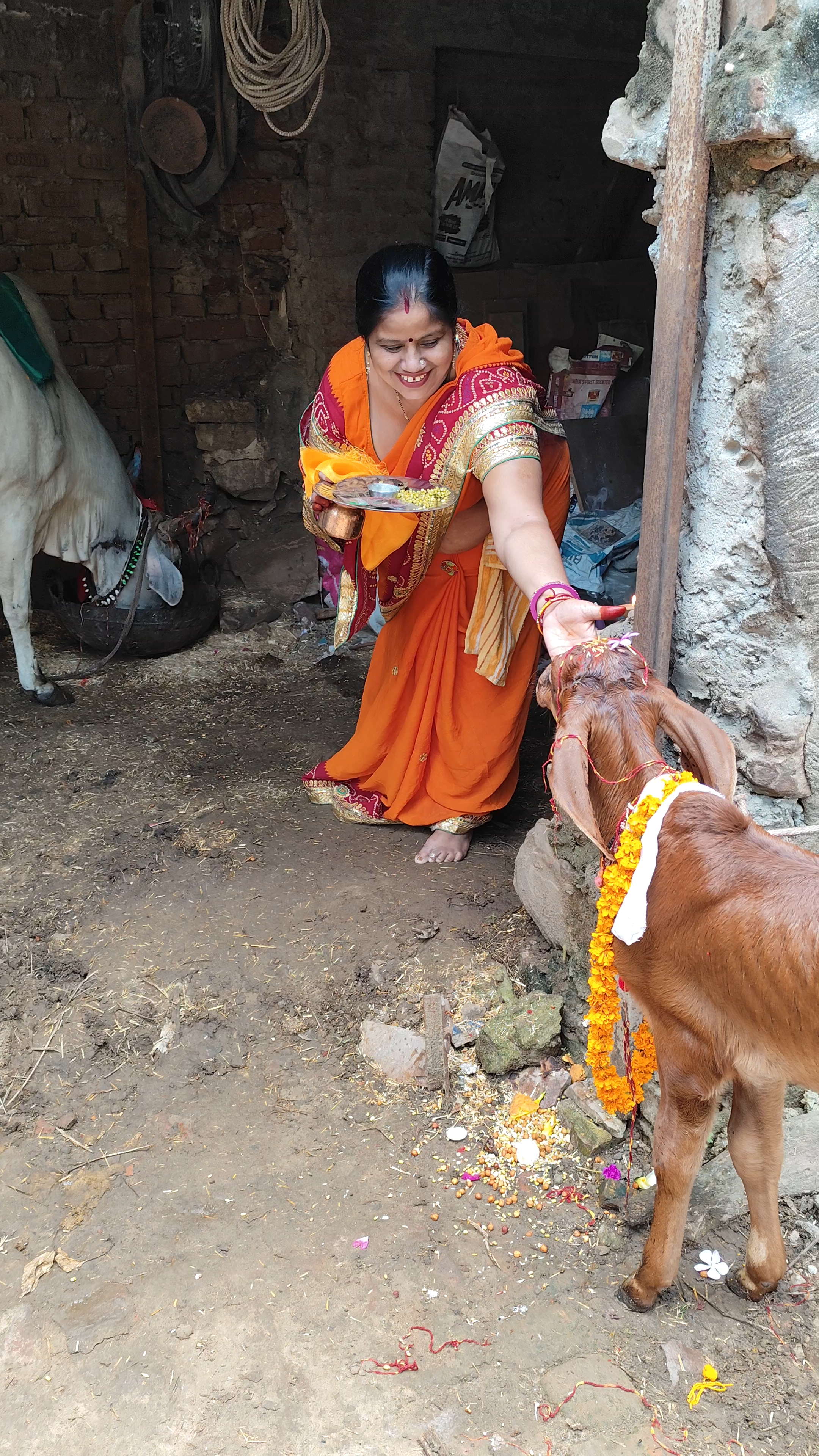 BACHH BARAS IN JAIPUR