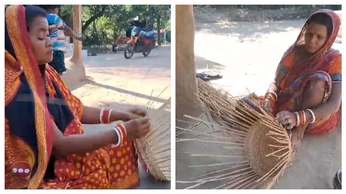 Odisha's Naliya Weaving On Verge Of Extinction As Plastic And Forest Bans Crush Artisan Livelihoods