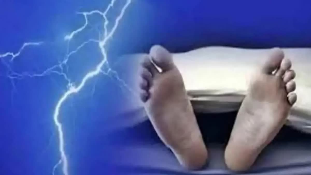 Six people were killed in Heavy rain  Heavy rain and lightning strike in Telangana  Heavy rain in Telangana  ತೆಲಂಗಾಣದಲ್ಲಿ ಮಳೆಯ ಅವಾಂತರ  ಆರು ಜನ ಸಾವು  ರಾಜ್ಯದಲ್ಲಿ ಮಳೆಯು ಅವಾಂತರ ಸೃಷ್ಟಿ  ವಿವಿಧ ಘಟನೆಯಲ್ಲಿ ಸುಮಾರು ಆರು ಜನರು ಮೃತ  ಆದಿಲಾಬಾದ್ ಜಿಲ್ಲೆಯಲ್ಲಿ ಗುಡುಗು ಸಹಿತ ಮಳೆ ಅವಾಂತರ  ಯಾಸಿಂ ಹಾಗೂ ಆತನ ಹೋರಿಗಳು