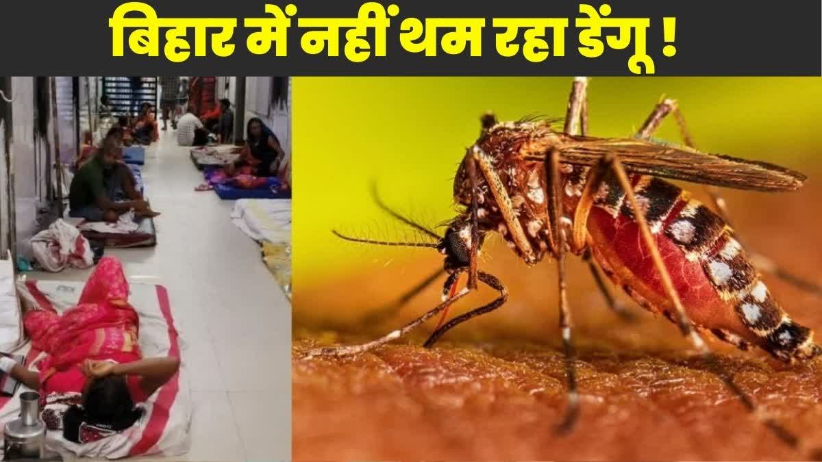 Dengue In Bihar