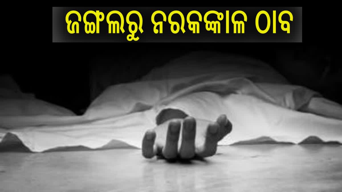 ପୁଣି ଗଞ୍ଜାମରୁ ନର କଙ୍କାଳ ଠାବ