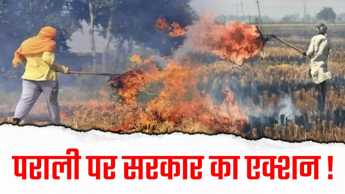 Stubble Burning In Haryana