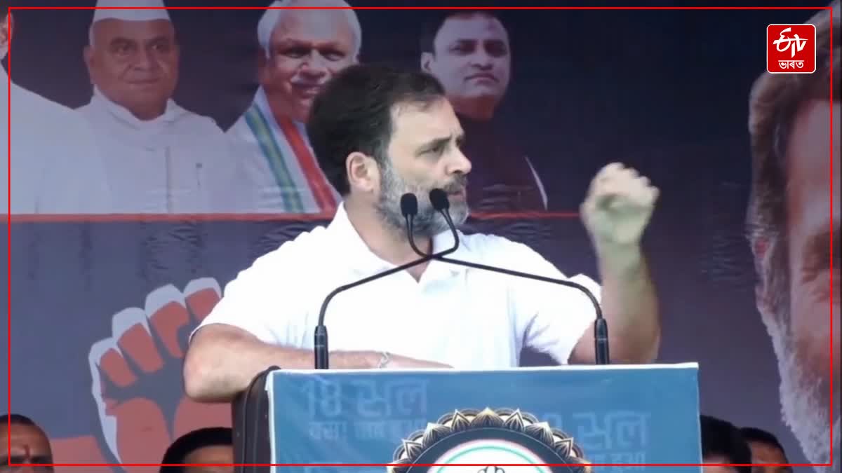 Rahul Gandhi in MP