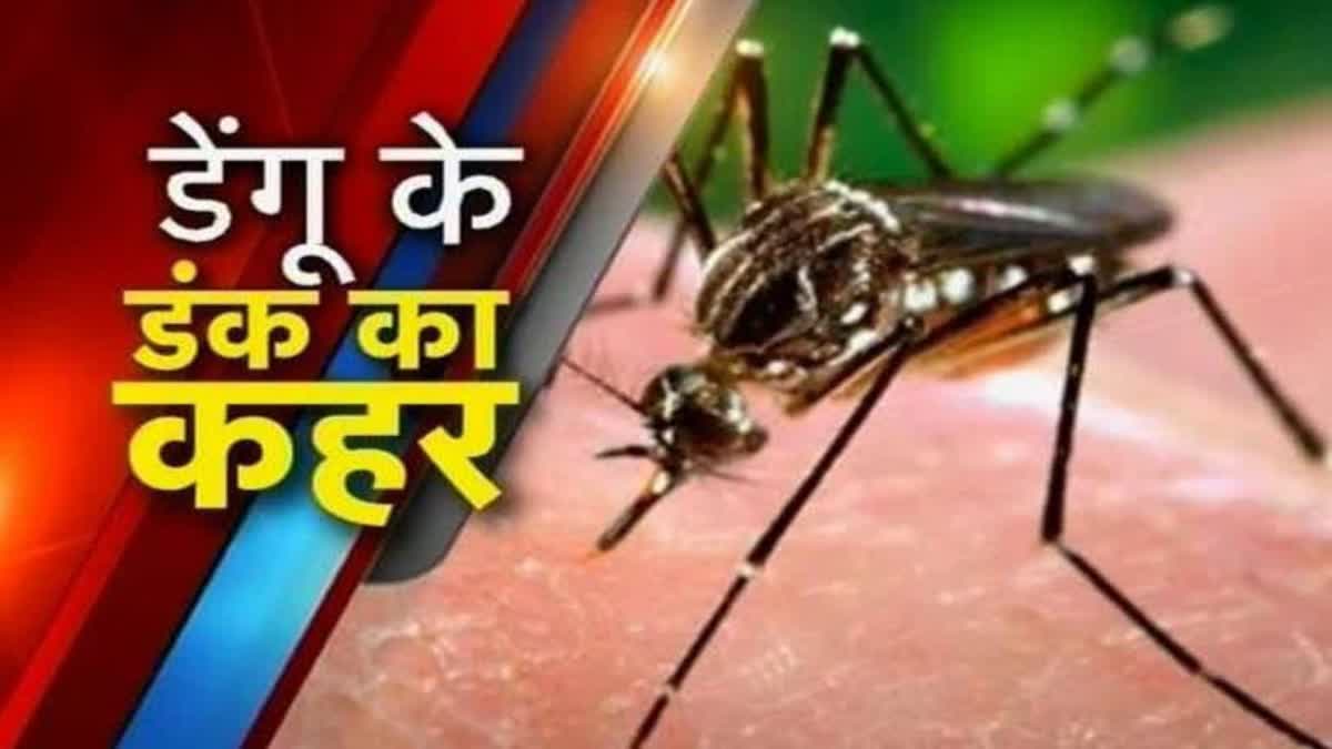 Dengue in Jharkhand