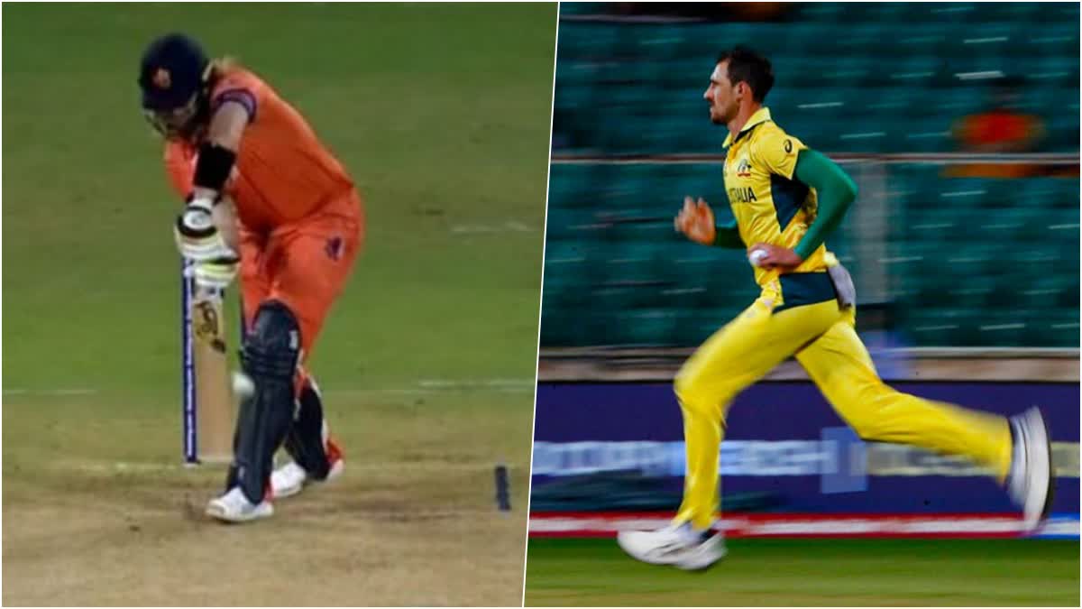 Australia Wins In Warm Up Match  Cricket World Cup 2023  Cricket World Cup Warm Up Matches  Australia Wins Against Netherlands  Who win Lift Cricket World Cup 2023  ഹാട്രിക്കില്‍ മിന്നി സ്‌റ്റാര്‍ക്ക്  രണ്ടക്കം കാണാന്‍ ബുദ്ധിമുട്ടി നെതര്‍ലാന്‍ഡ്‌സ്  ഓസീസിന് ഉജ്ജ്വല വിജയം  കാര്യവട്ടത്തെ സന്നാഹമത്സരങ്ങള്‍  ക്രിക്കറ്റ് ലോകകപ്പ് 2023