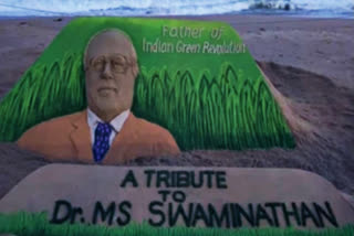 Paying rich tributes to renowned agricultural scientist Dr MS Swaminathan whose immense contribution helped the nation becoming self-reliant in food production, sand artist Sudarsan Pattnaik made a sculpture on the Puri beach. The eyeball grabbing sculpture was carved out as a portrait of Swaminathan with the lush green paddy fields in the backdrop.