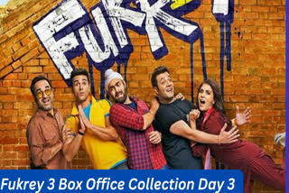 Fukrey 3