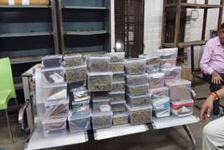 ahmedabad-drugs-drugs-from-canada-expose-udta-gujarat-drugs-found-in-ahmedabad