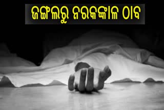 ପୁଣି ଗଞ୍ଜାମରୁ ନର କଙ୍କାଳ ଠାବ