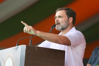 Rahul Gandhi serious allegation RSS