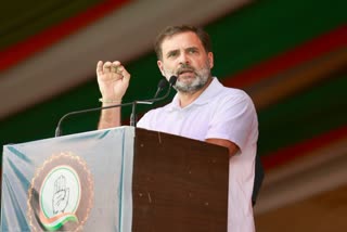 Rahul On Shivraj Government