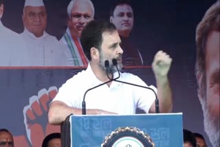 Rahul Gandhi Attack on RSS and BJP