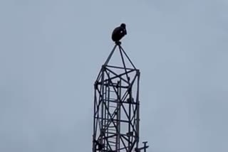 a-man-climbed-mobile-tower-in-mangaluru