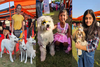 Dog Show in Jaipur