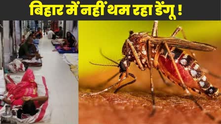 Dengue In Bihar