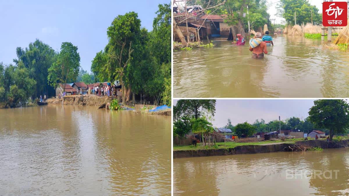 Malda Flood Situation