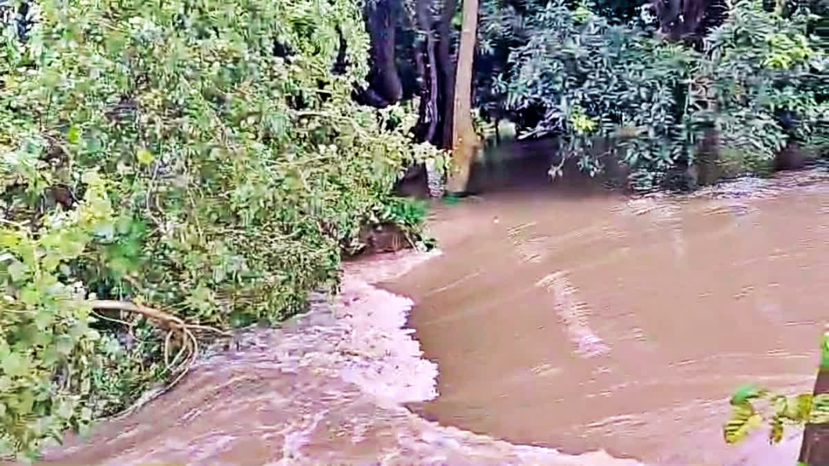 Flood in Motihari