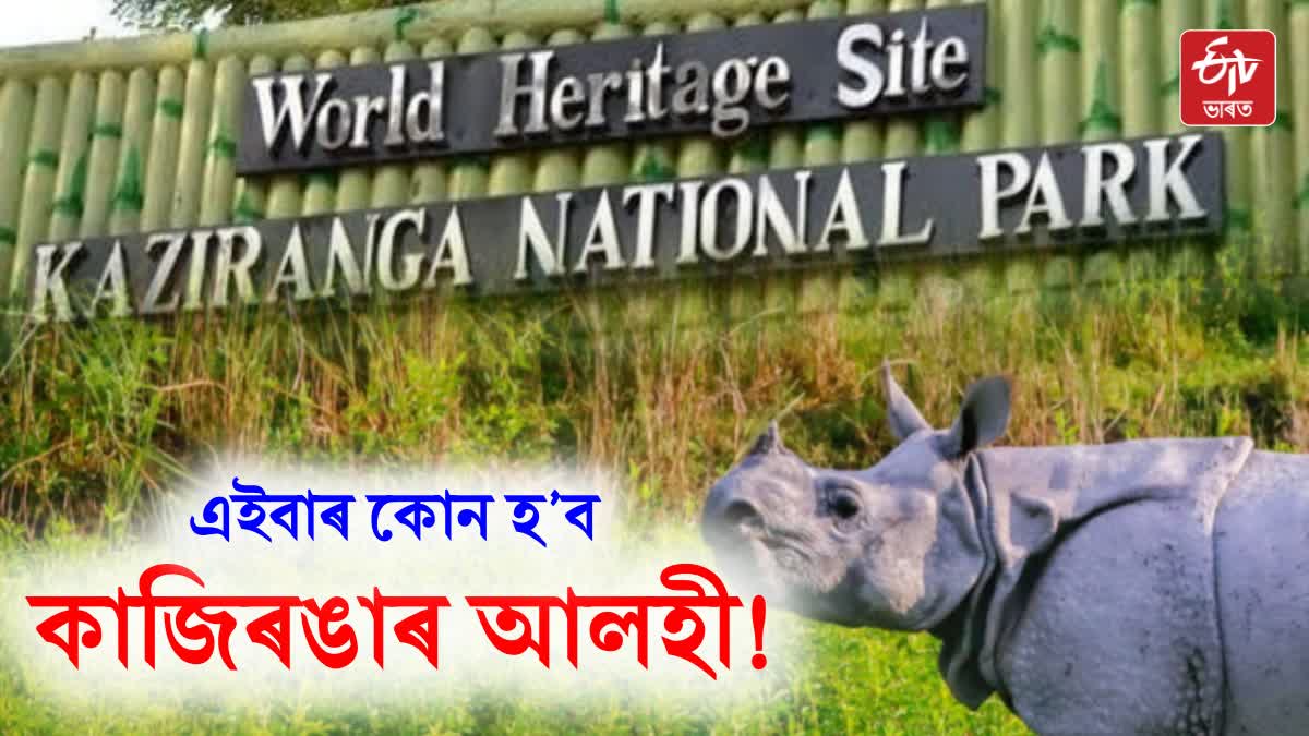 Kaziranga tourism year 2024-25