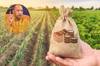 up yogi government plan build five seeds parks farming agriculture latest update