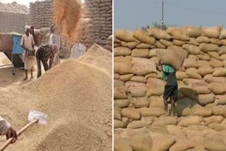 Paddy Procurement